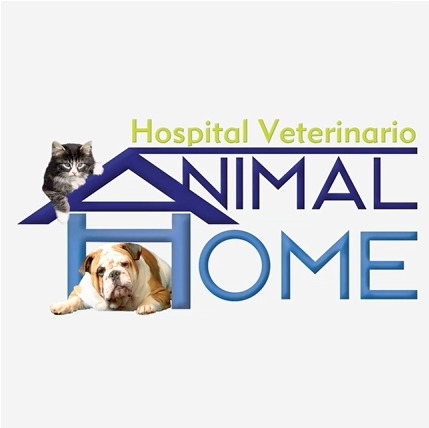 Laser Therapy helps animals get home faster | Hospital Veterinario Animal Home