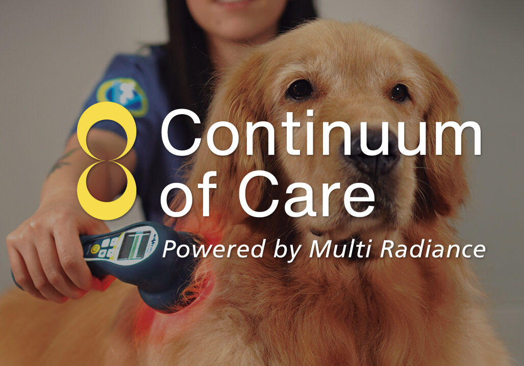 The MyPetLaser 2.0 for Continuum of Care