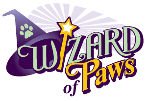 Wizard of Paws featured on Hello Connecticut